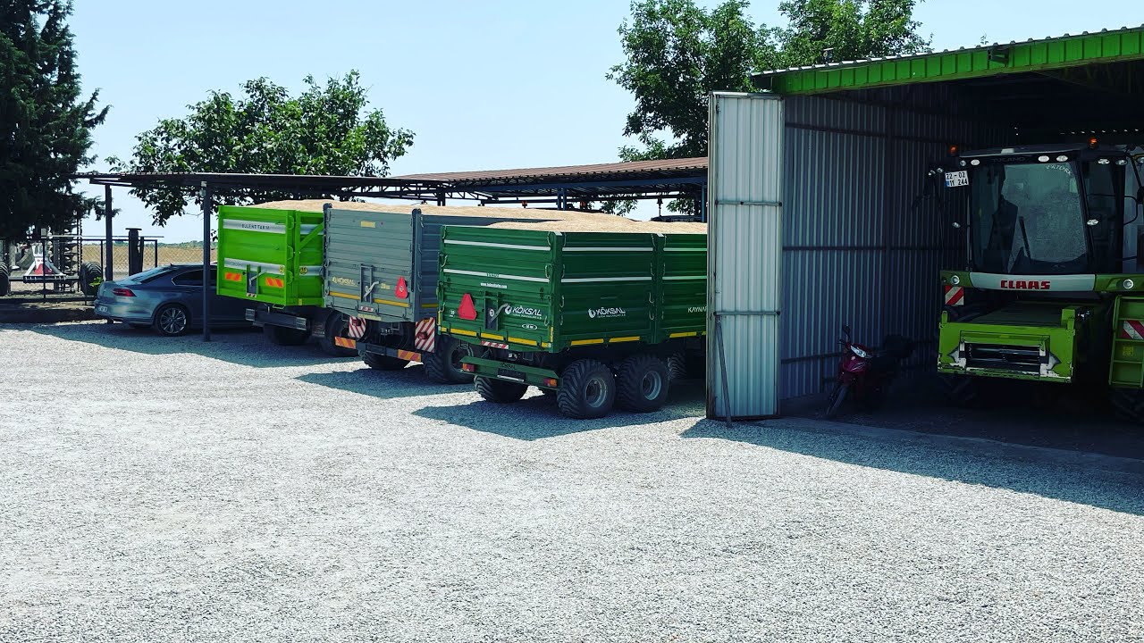 3 TRAKTÖR BUĞDAY SATMAYA GİDİYORUZ | FENDT 716 vs 313 vs CLAAS ARİON 520