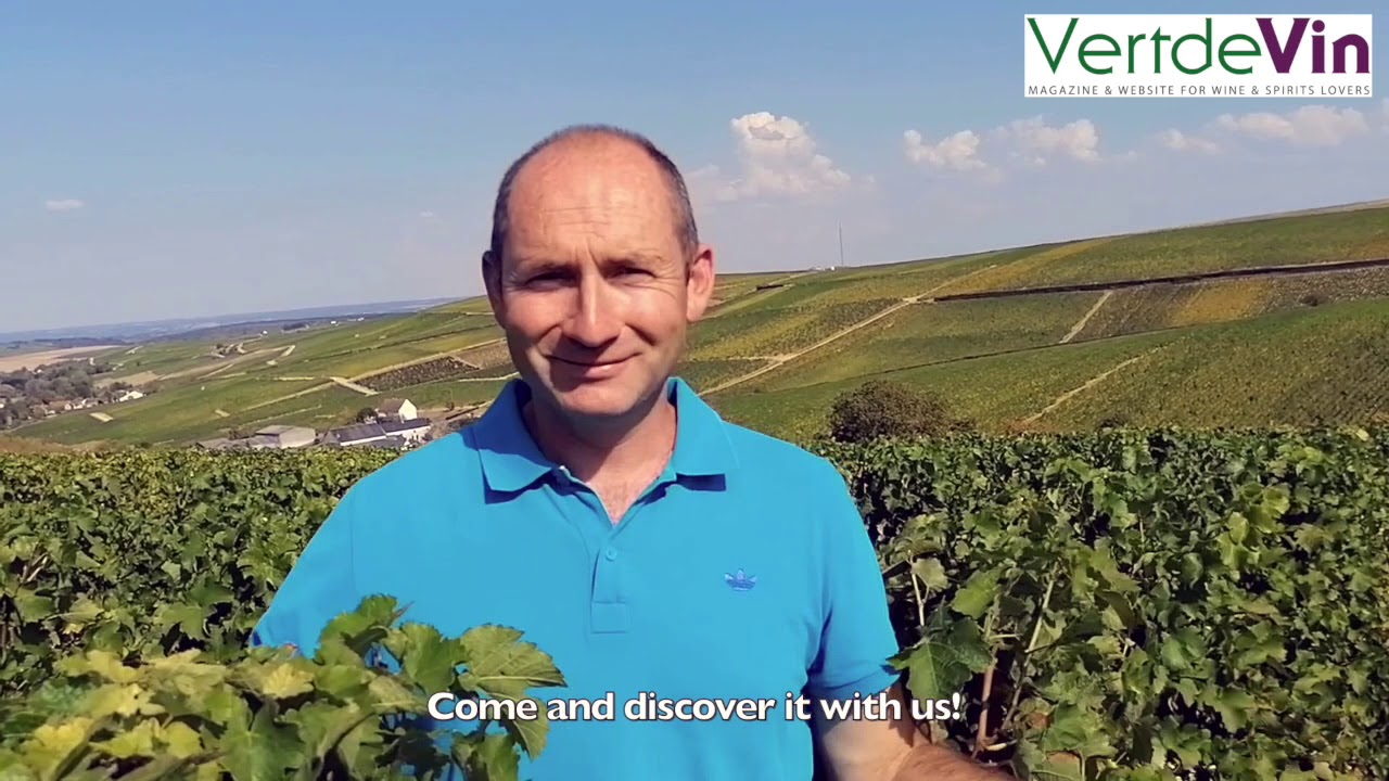 Didier Raimbault (Domaine Roger et Didier Raimbault, Sancerre) speaks about the 2020 harvest & wines