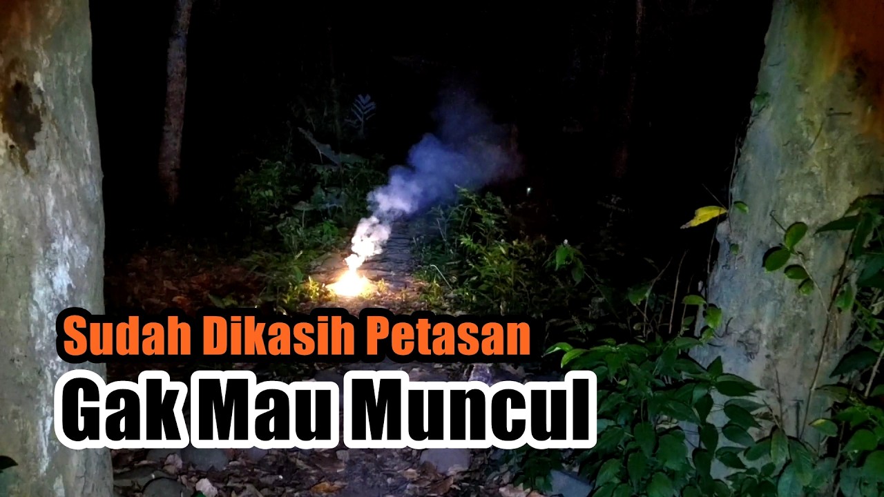 Penelusuran Tengah Malam di Sekitar Tempat Wisata