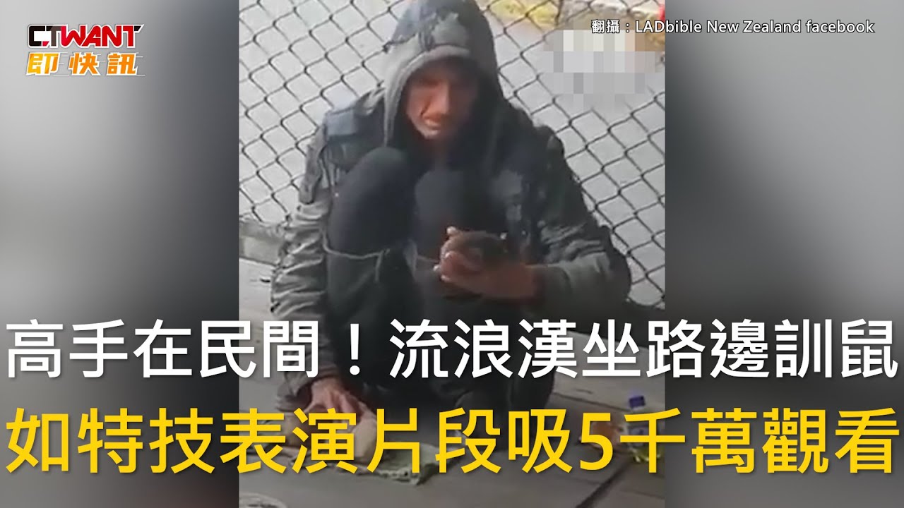 CTWANT 生活趣聞 / 高手在民間！流浪漢坐路邊訓鼠　如特技表演片段吸5千萬觀看