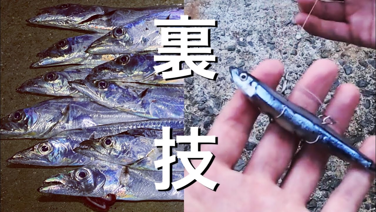 【裏技】これをやるだけでタチウオが爆釣になる釣りをご紹介。