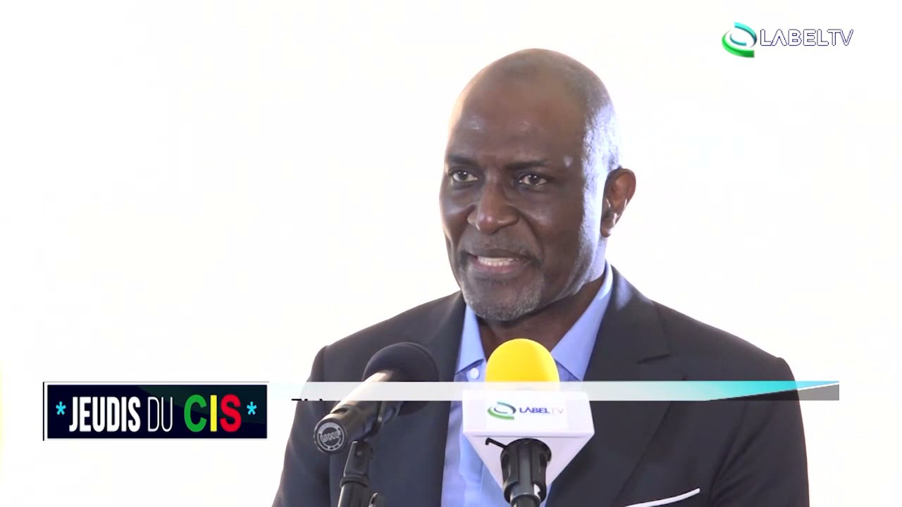 JEUDIS DU CIS / PARTIE 01 - THÈME : L'Industrialisation - Développement - Création d'emplois