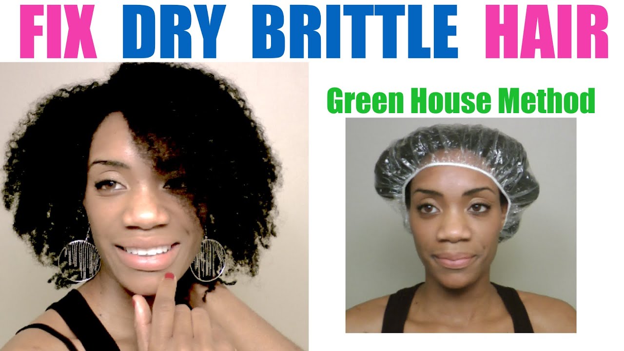 How To:  FIX DRY BRITTLE HAIR - Green Houese Effect Hair
