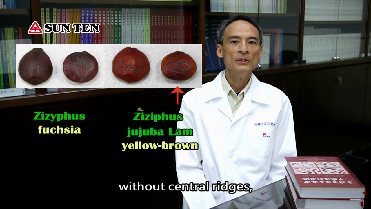 Jujube Seed - A Precious Medicinal Herb