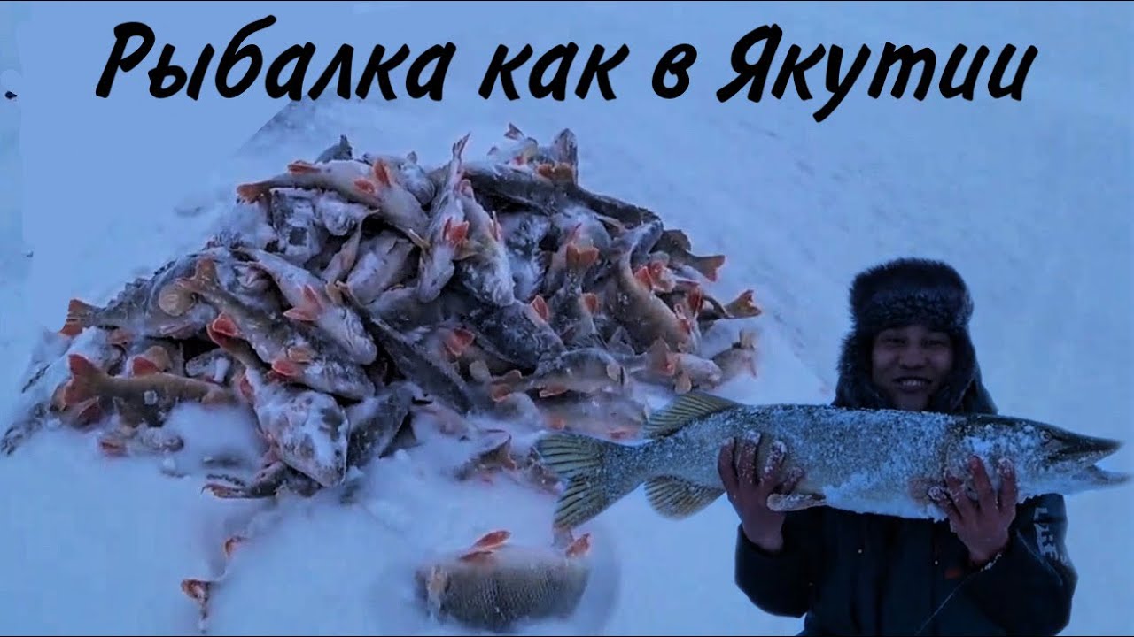 Первый лёд 2020-2021! Рыбалка как в Якутии! Трофейная щука! Клюёт как из пулемета! Заповедник!