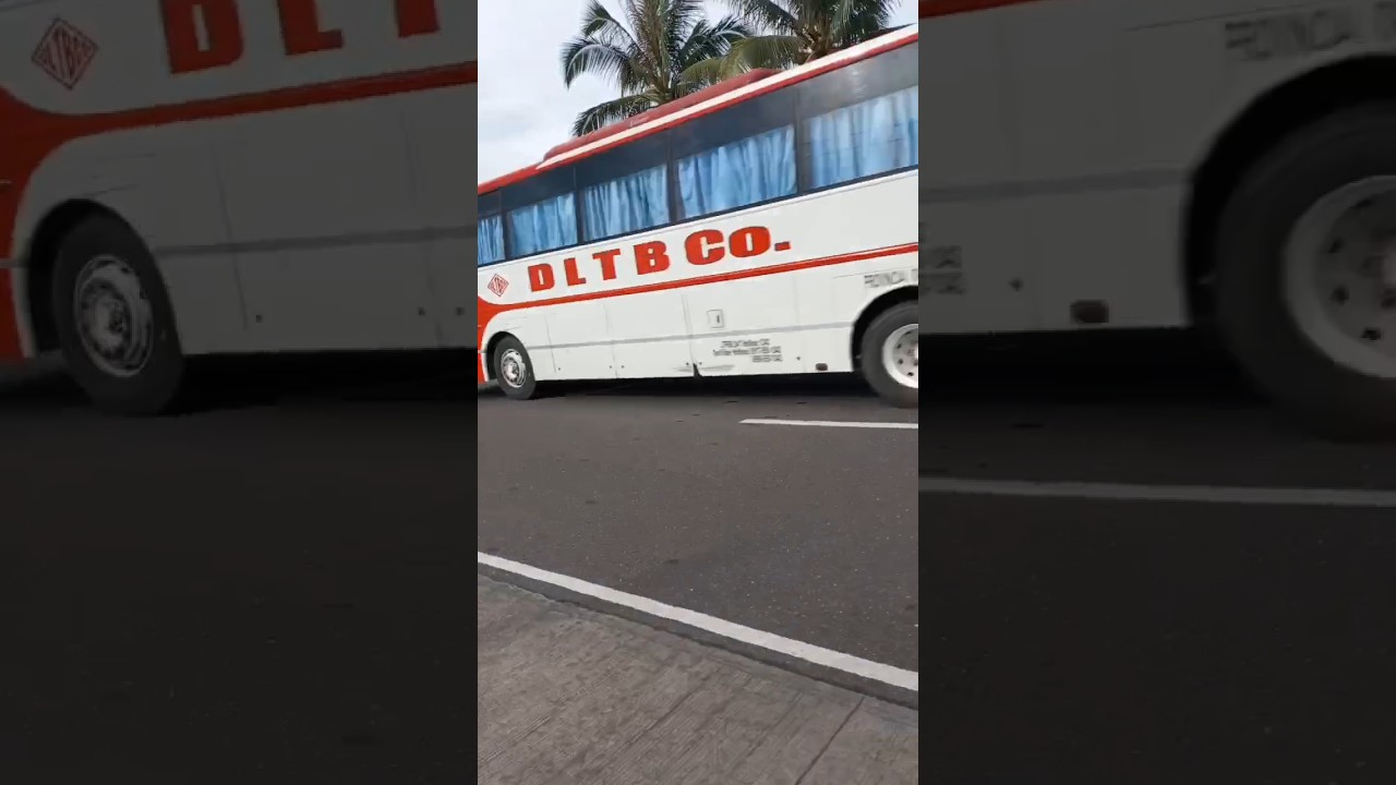 DLTBCo 5130 spotted #bus #transitbus #citybus #transit #travel #nature #rapidbus #localbus