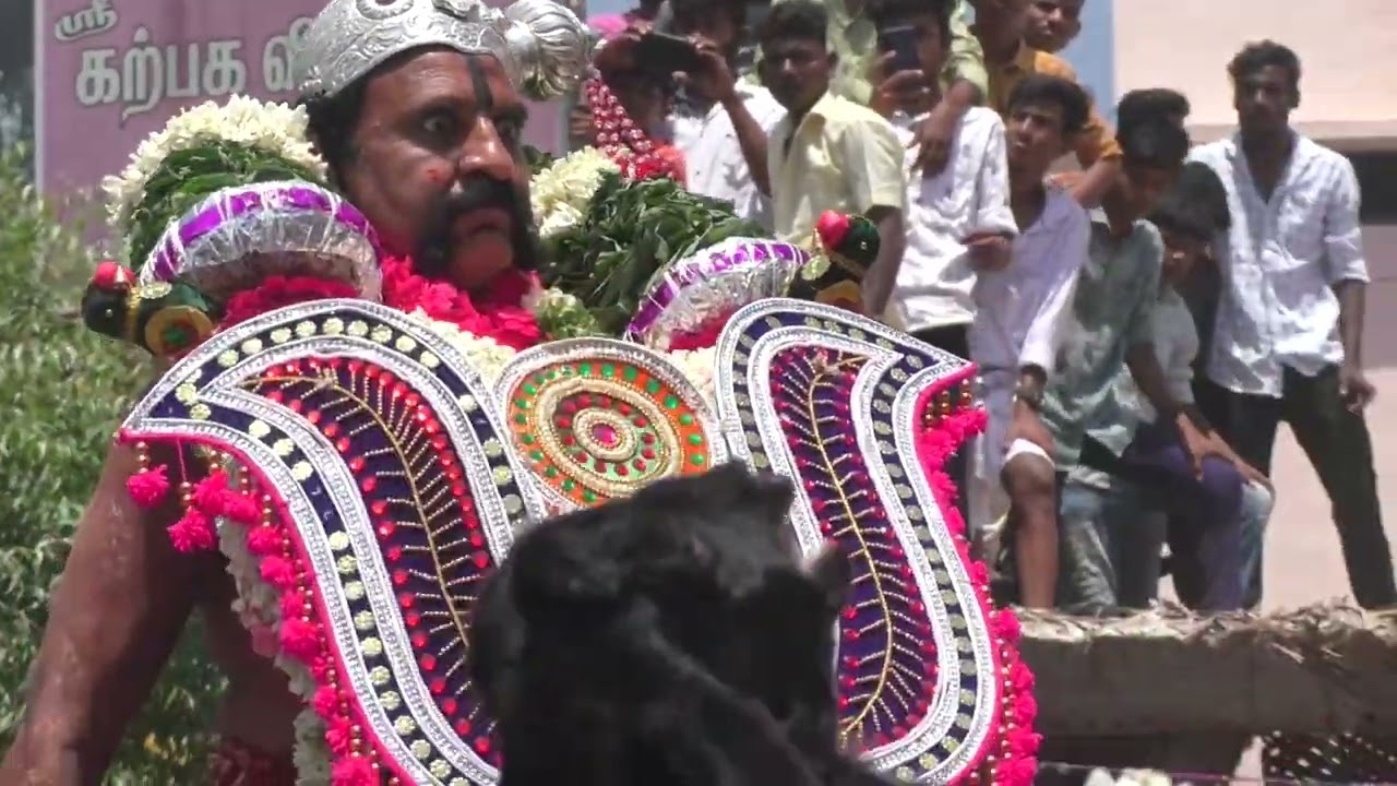 குழுமாயி அம்மன் கோவில் குட்டிக்குடி திருவிழா 2022