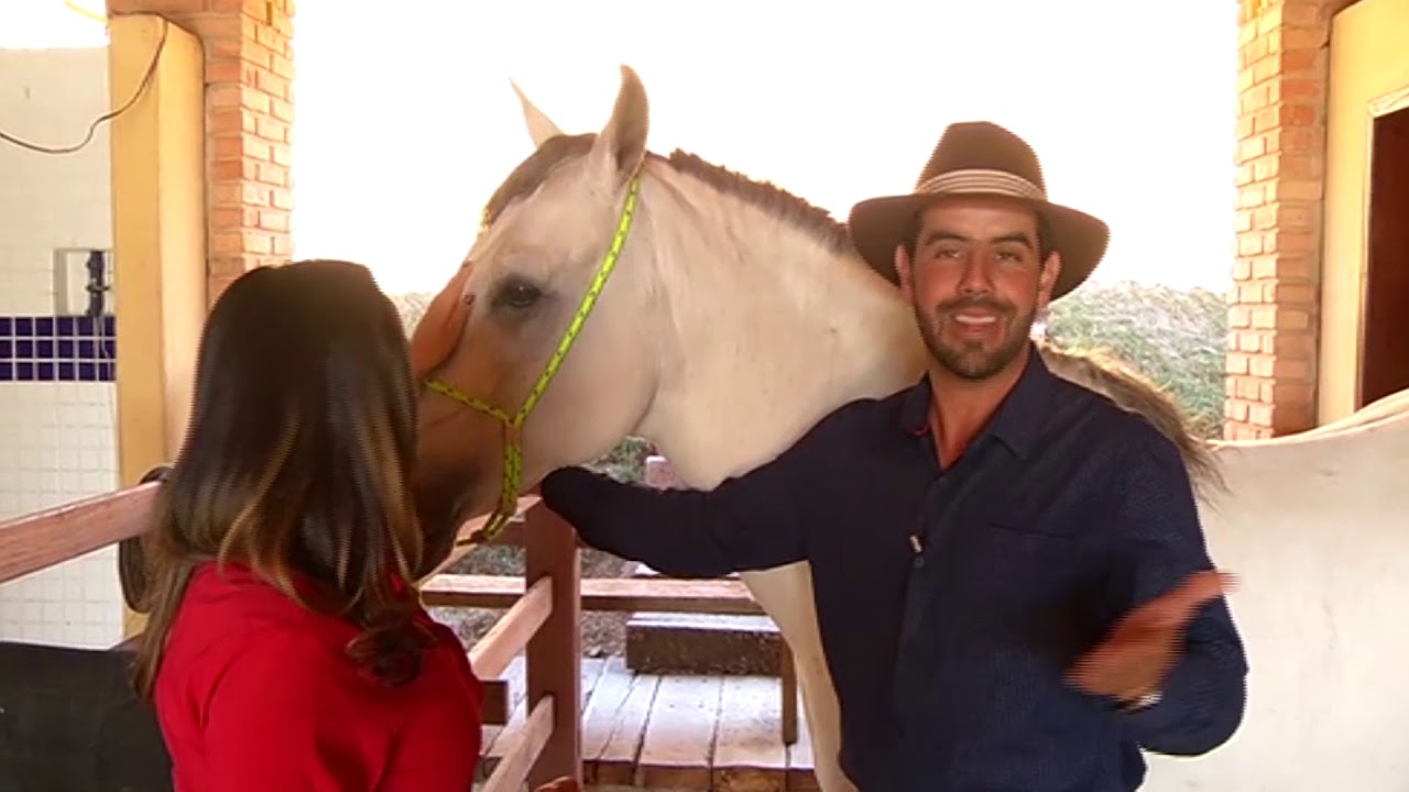 Café com TV 11-08-2019 | Haras Porto de Minas