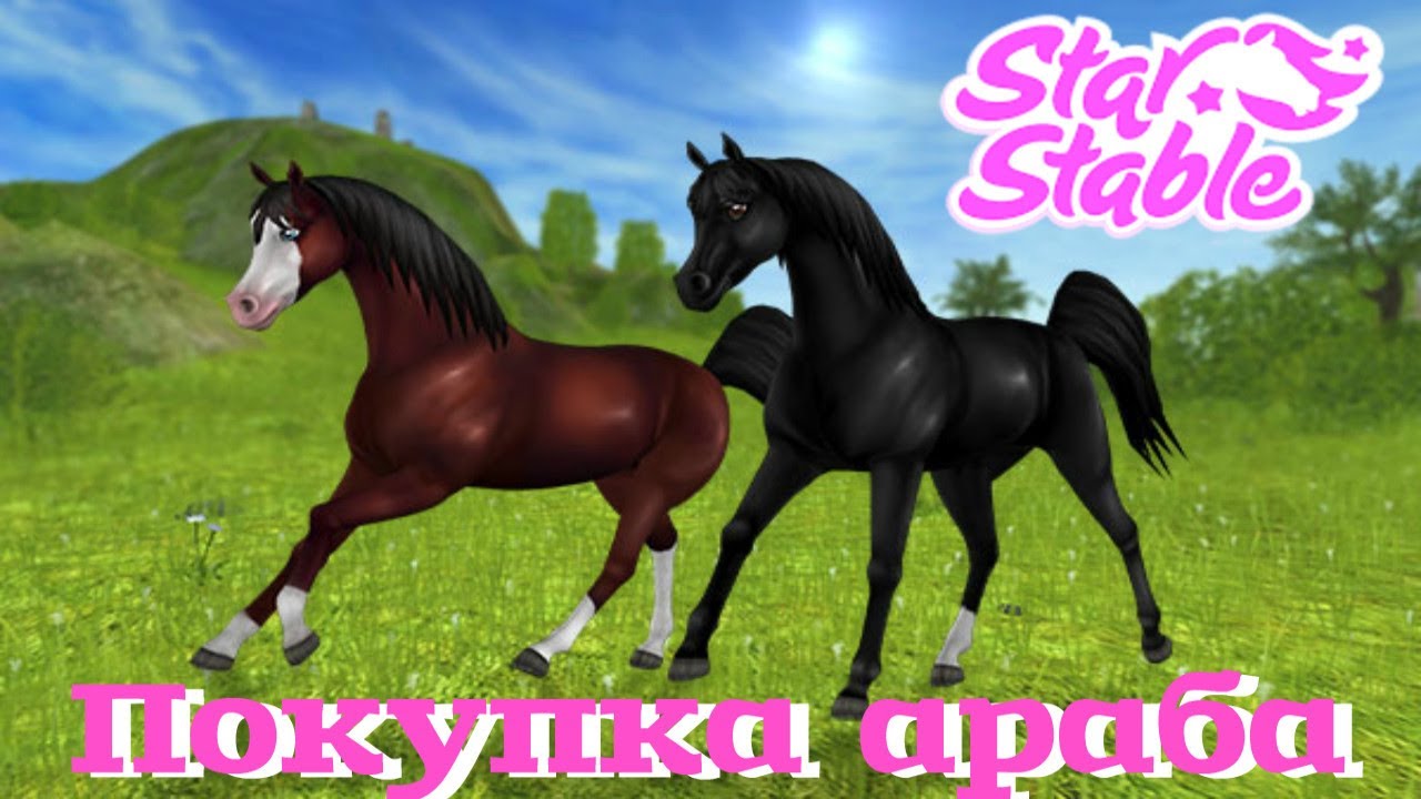 ПОКУПКА ОБНОВЛЁННОГО АРАБА╰( ♡ヮ♡)╯