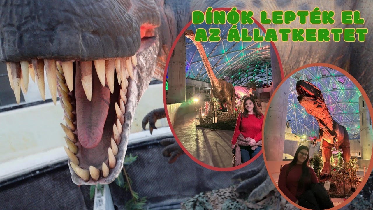 DÍNÓK LEPTÉK EL AZ ÁLLATKERTET! GYERTEK, MUTATJUK!