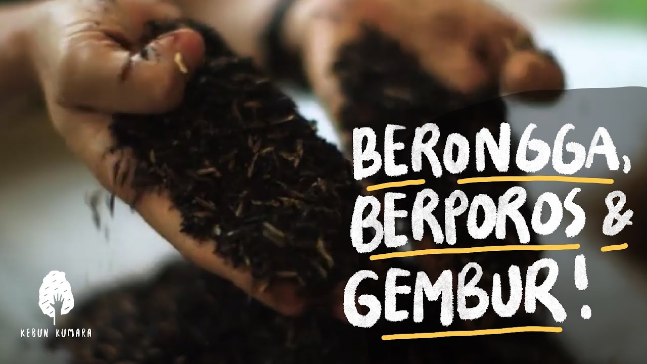 3 LANGKAH MEMBUAT MEDIA TANAM SUBUR