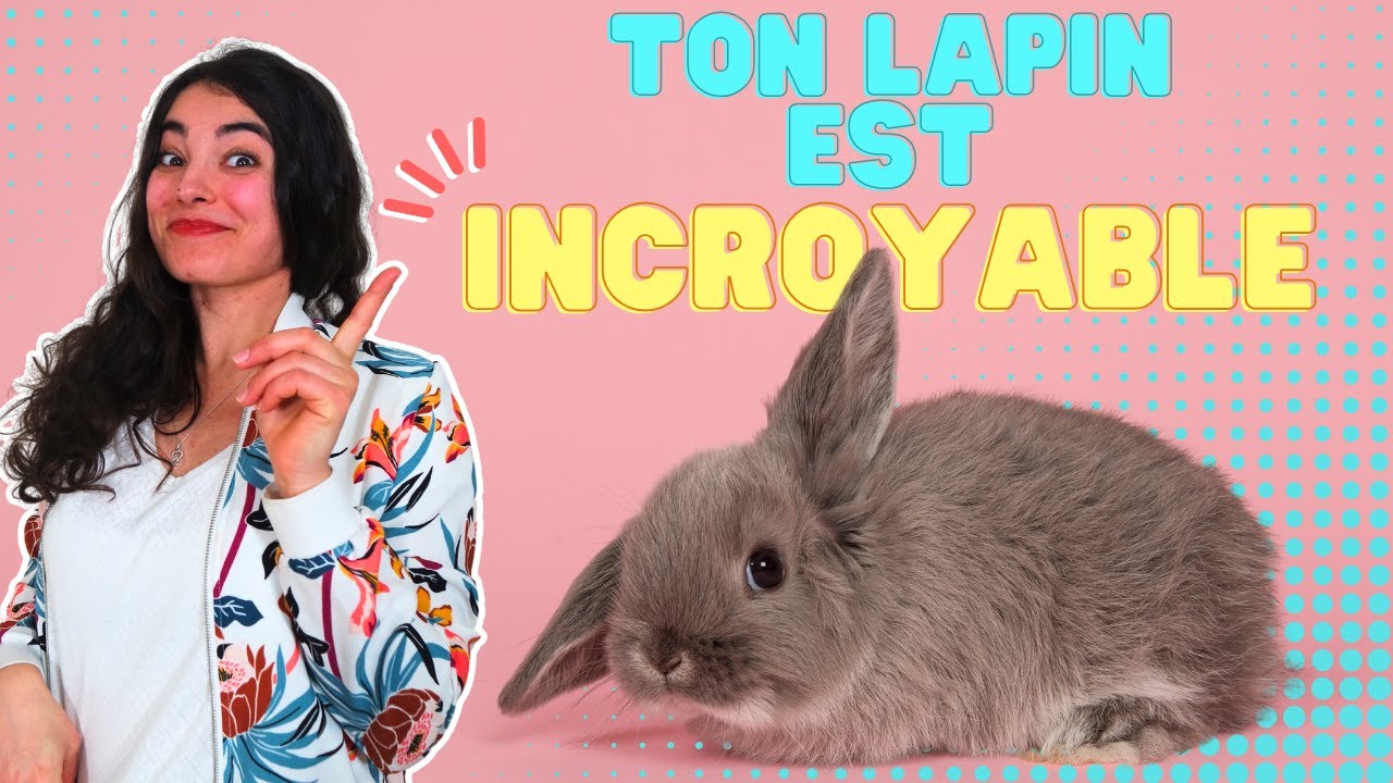 8 funfacts INCROYABLES sur les lapins 🤩