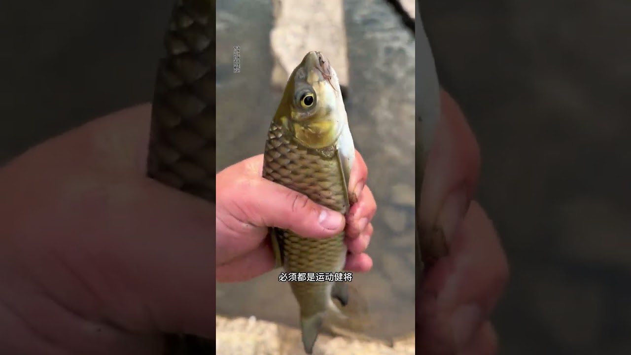 In-Law's Fish Request = Year-End Adventure! 🐟🌟 Fishing Outdoor