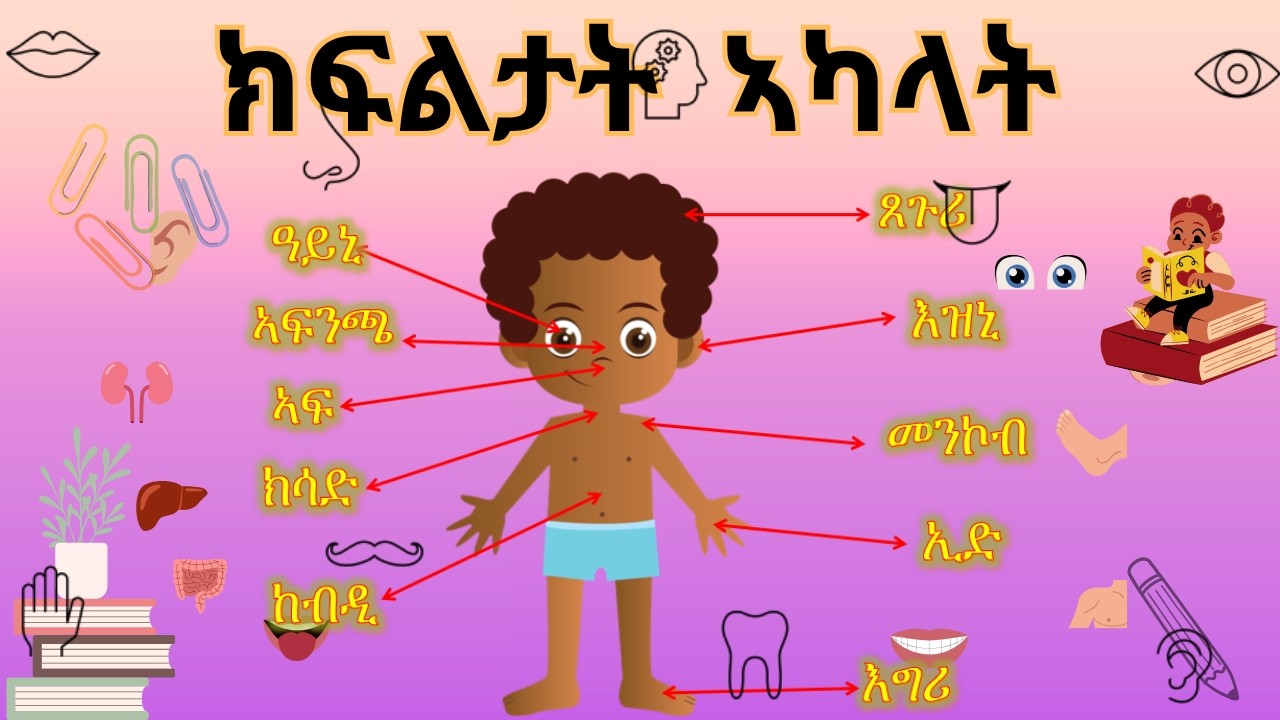 ክፍልታት  ኣካላት / Body Parts - Tigrigna - ክፍልታት  ኣካላት #MahderHtsanat