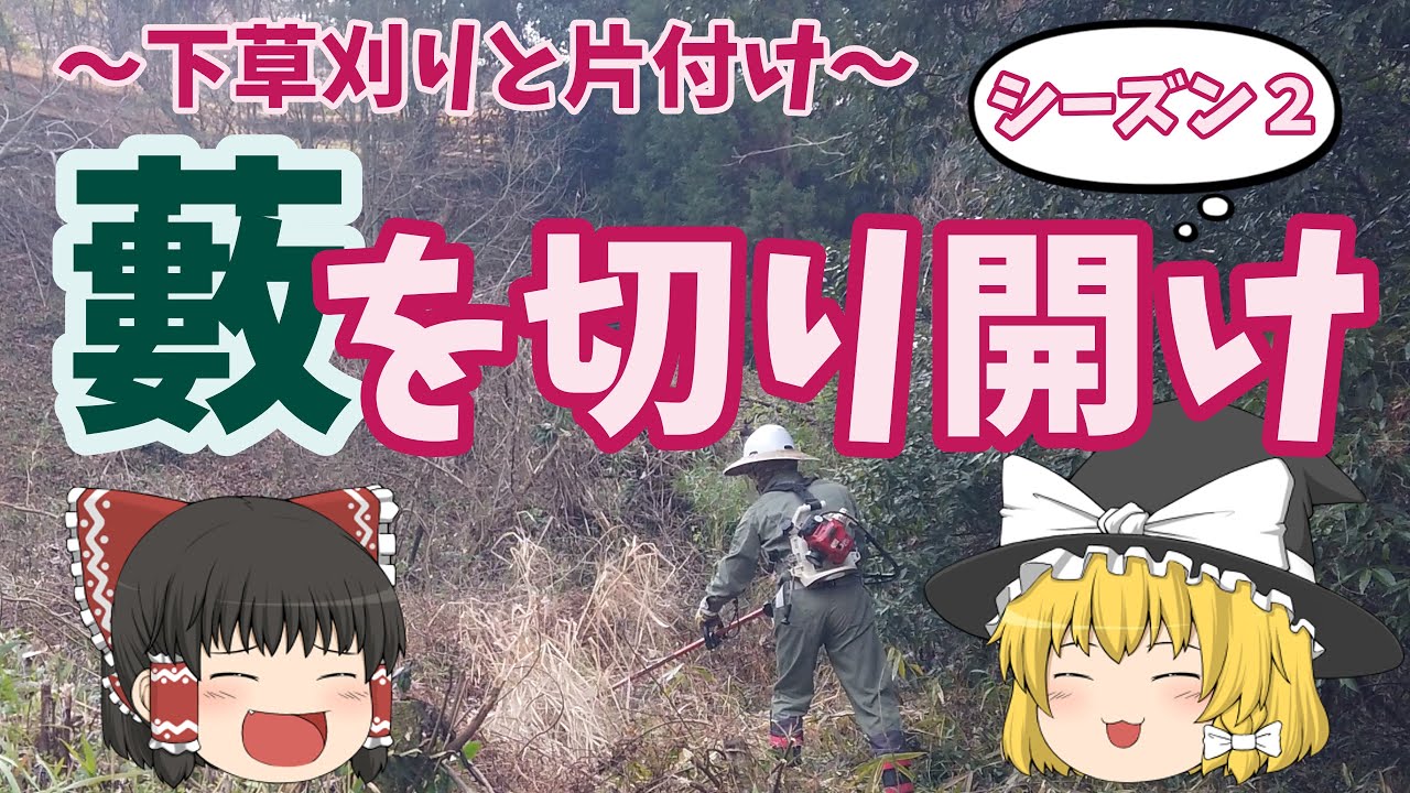 イノシシ対策に耕作放棄地の藪掃除２日目。下草を草刈りしてさらに片付ける。これも来年の田んぼの準備なんです　～今日も仕事だぜ～