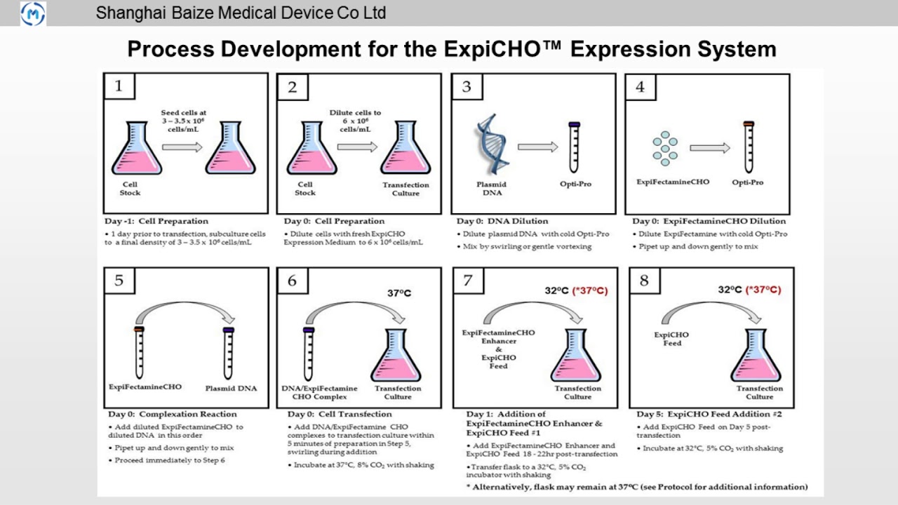 ExpiCHO High-Efficiency Protein Expression System: Ultra-high Titers Comparable to Stable..
