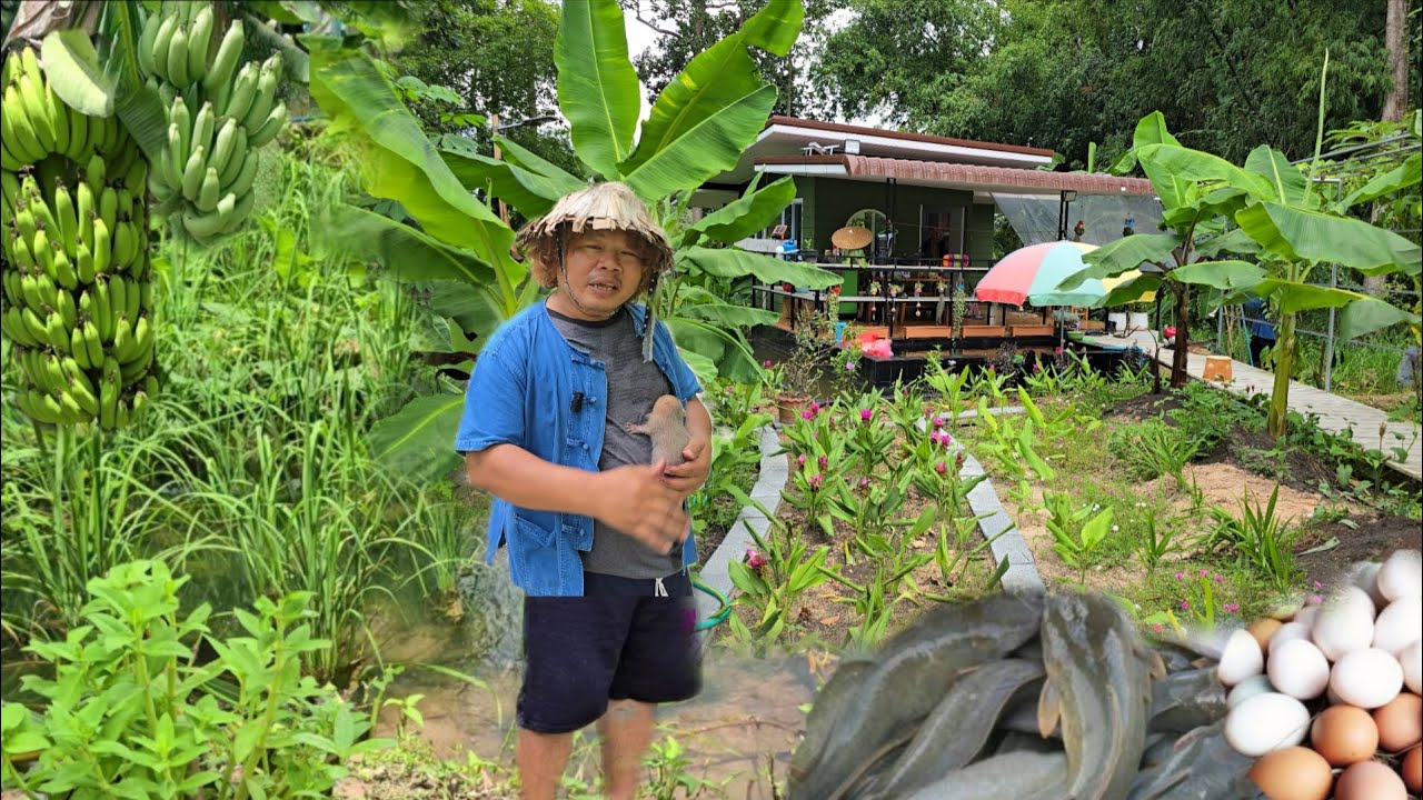 สร้างสวรรค์บนดินบนพื้นที่ 2งาน👨‍🌾ผสมผสานหลากหลาย