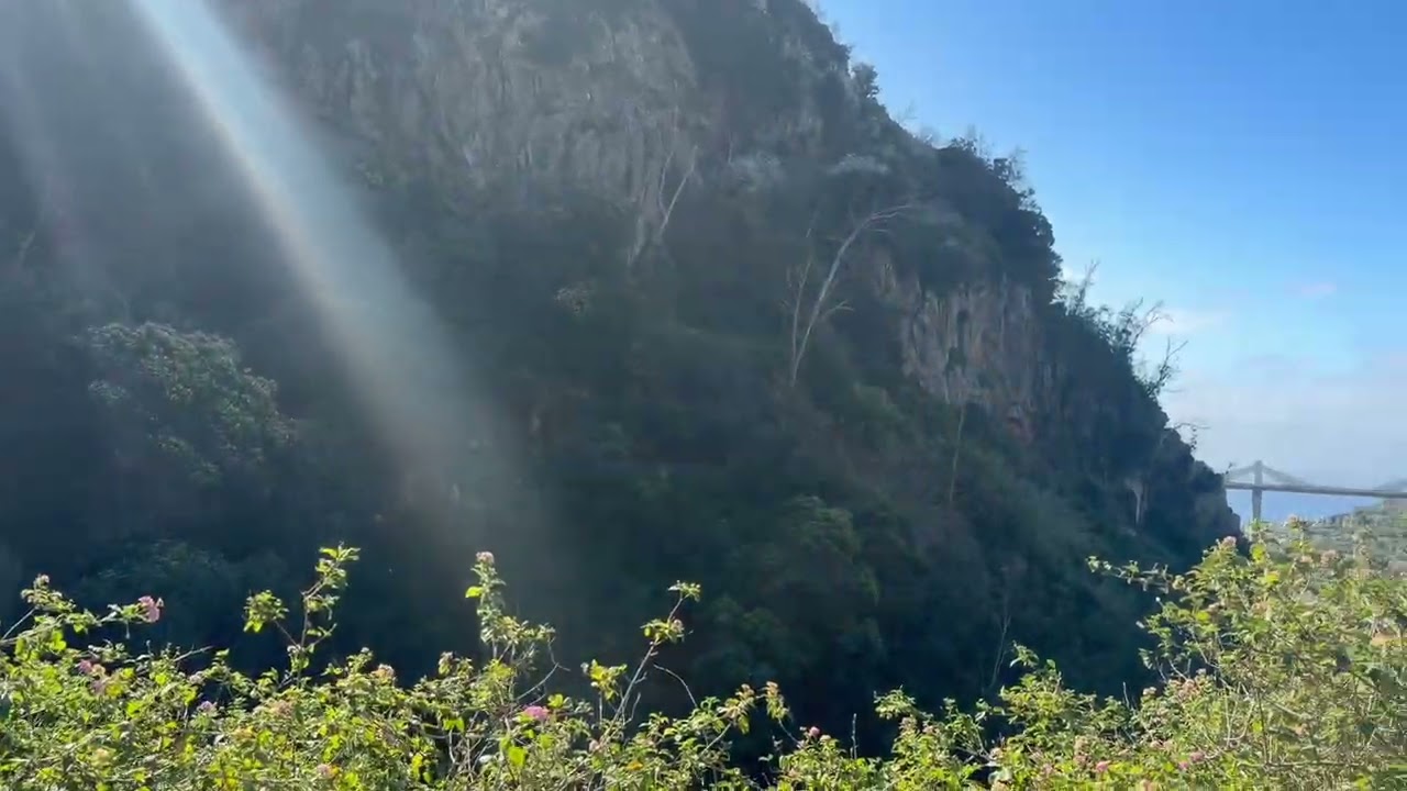 Levada dos Piornais - Madeira