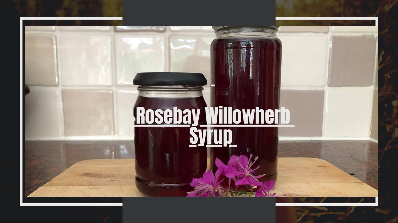 How To Make Rosebay Willowherb Syrup | Fireweed Syrup | Nature&rsquo;s Seasonal Produce