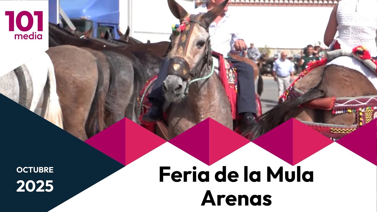 🔴 Feria de la Mula de Arenas | Fiestas singulares de Andalucía