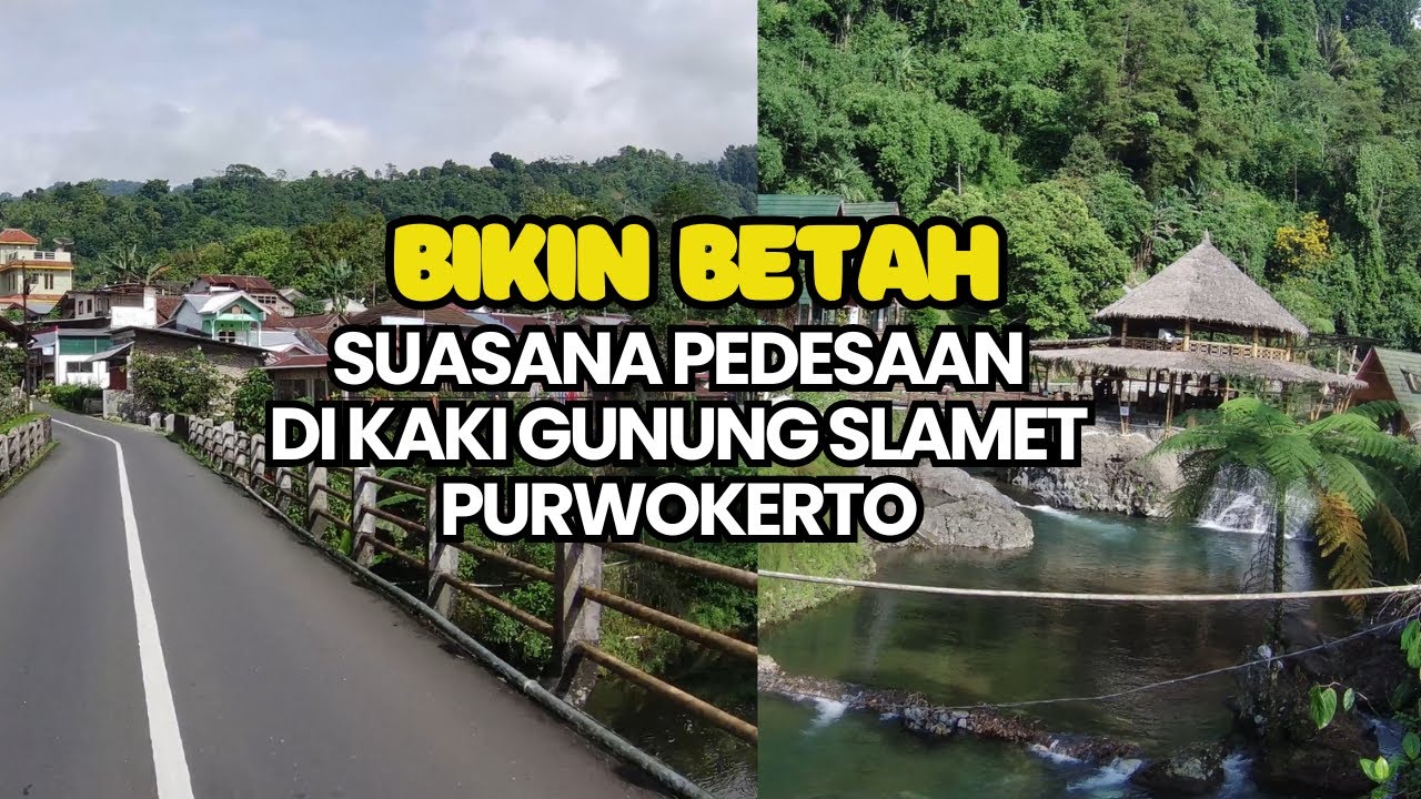 SUASANA PEDESAAN DI KAKI GUNUNG SLAMET PURWOKERTO