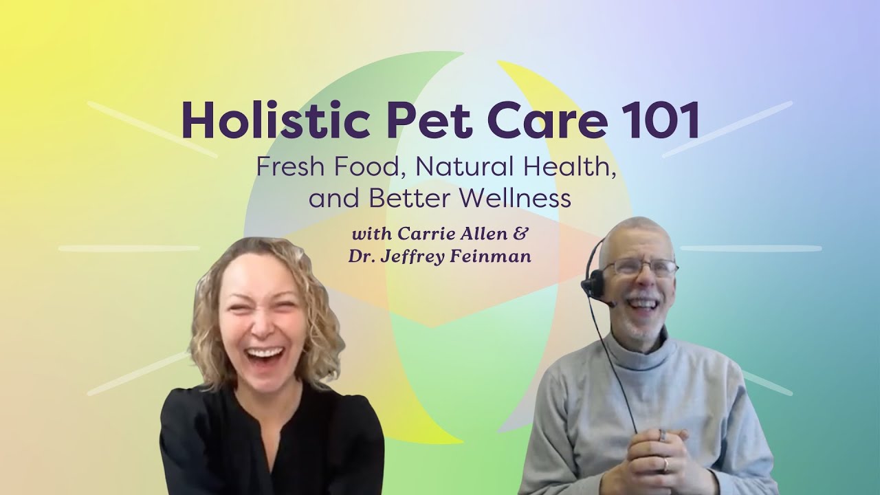 Holistic Pet Care 101 w/ Jeff the Vet: Fresh Food, Natural Health, and Better Wellness
