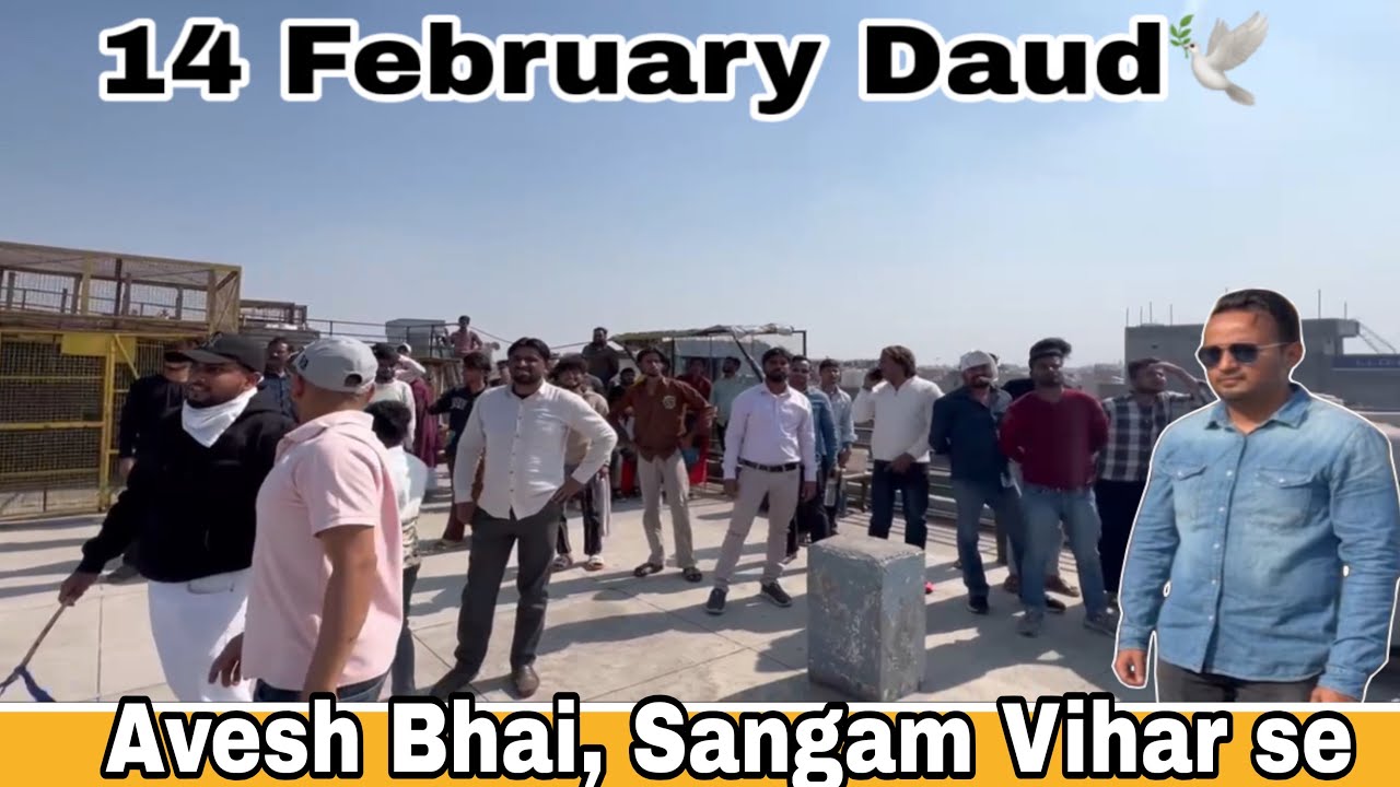 Avesh bhai vs Monu bhai 71 vs 71 Kabutero ka shouk🕊️💥 #birds #pigeon #kabootar #youtubevideos #new 