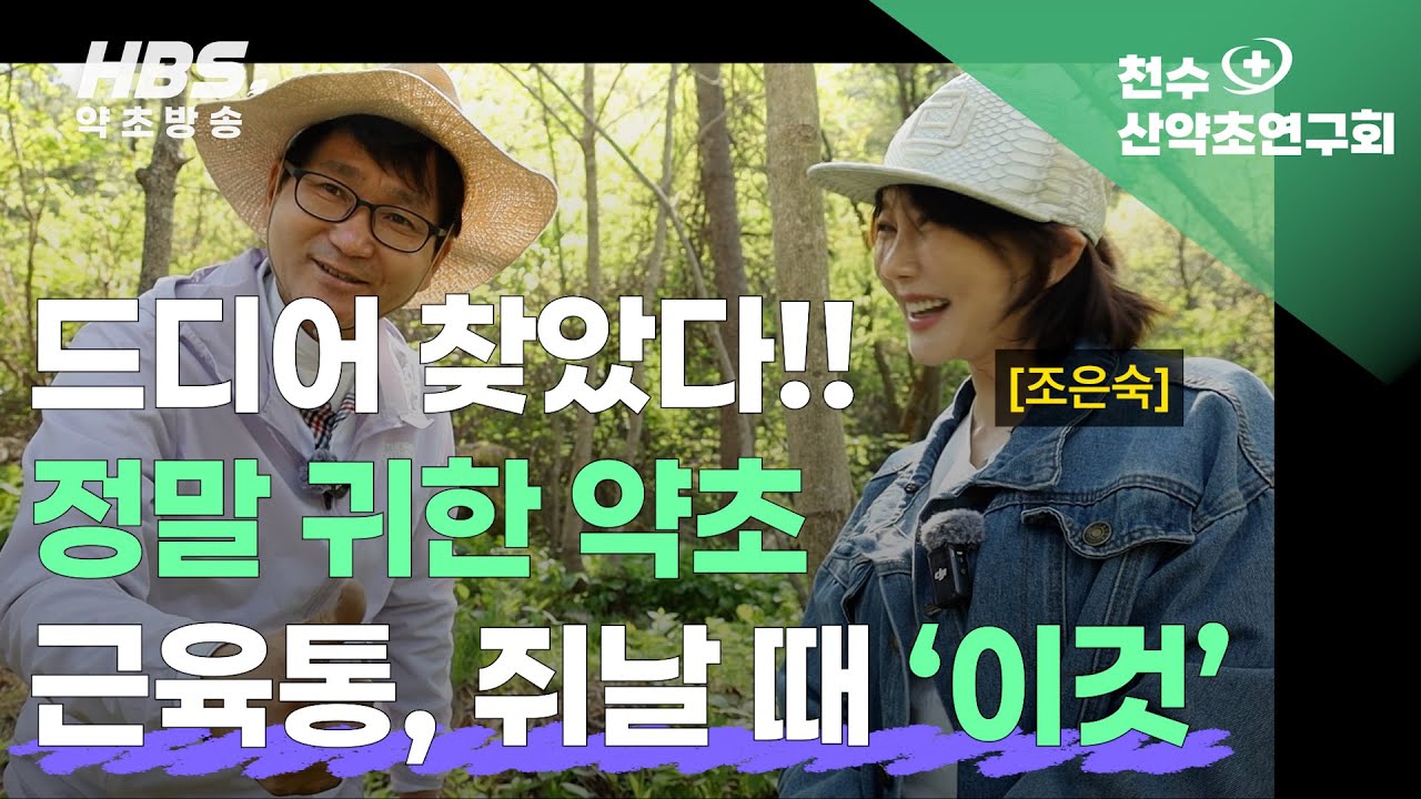 드디어 찾았다 정말 귀한 약초 근육통, 쥐날 때 '이것'