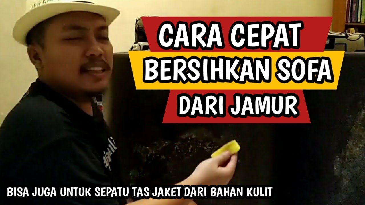 CARA MEMBERSIHKAN JAMUR DI SOFA SINTETIS, CARA MENGHILANGKAN JAMUR DI SOFA KULIT, MUDAH BANGET...!!!