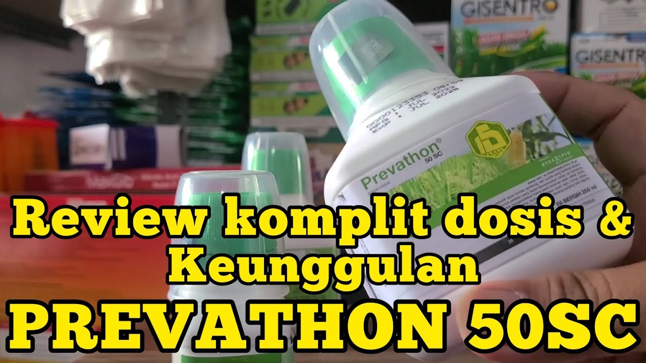 CARA JITU MENGATASI SUNDEP DENGAN PREVATHON 50SC.