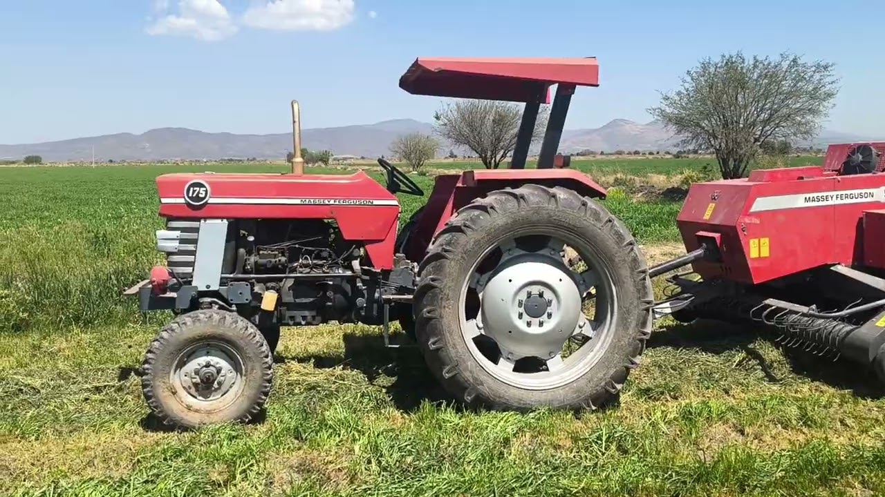 ¡¡ASI PRODUCIMOS EL PASTO PARA LAS ANGUS!! 