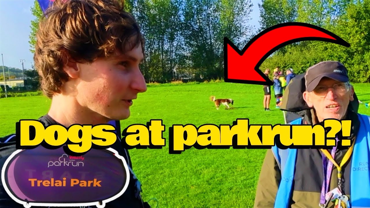 Должны ли ВСЕ забеги parkrun быть дружелюбными к собакам?!🏃🏻‍♂️🐶 (Обзор забега Trelai Park Parkru...