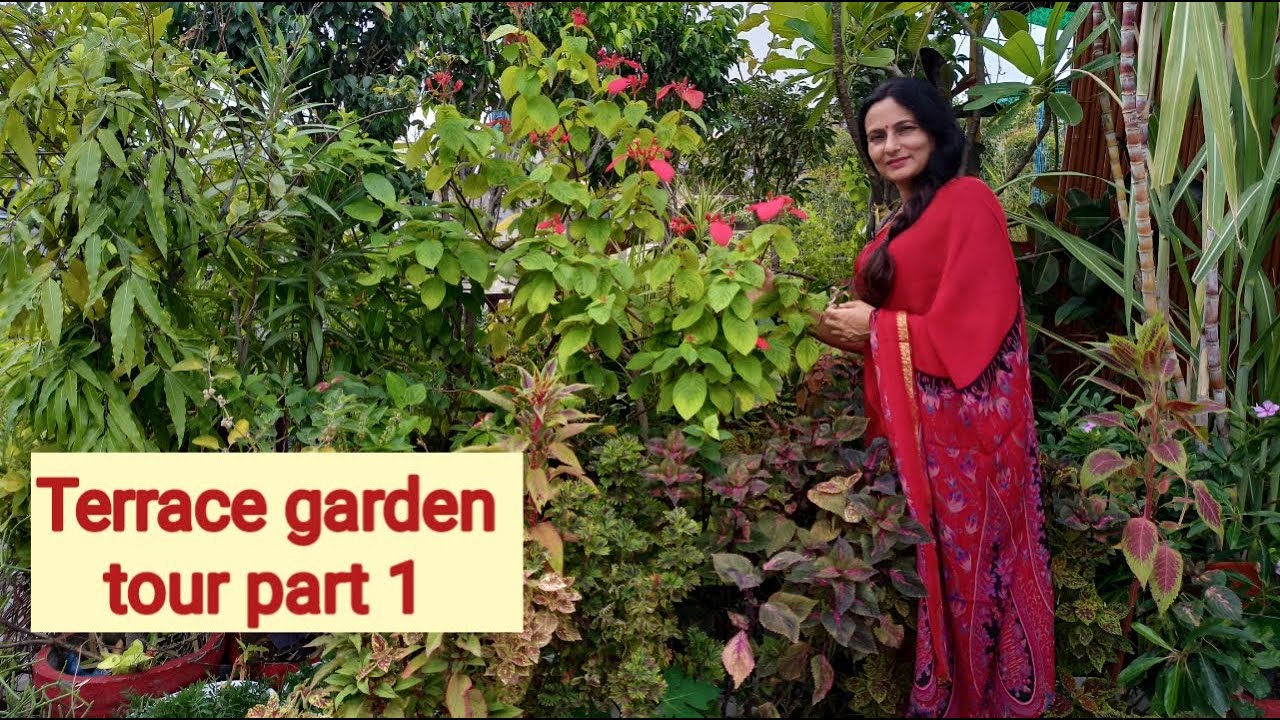Terrace garden tour | Rashmi's World - Create to Decorate