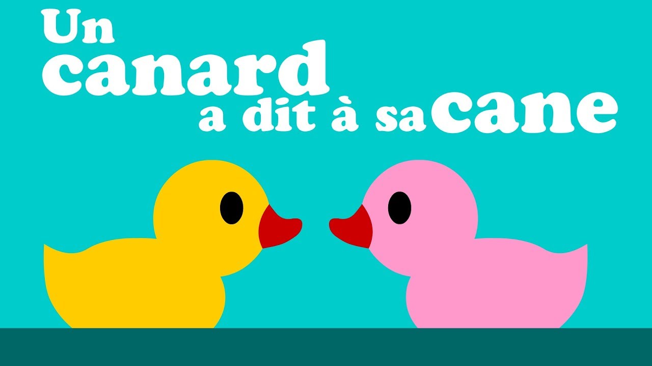 UN CANARD A DIT A SA CANE comptine pour enfant de maternelle & bébé