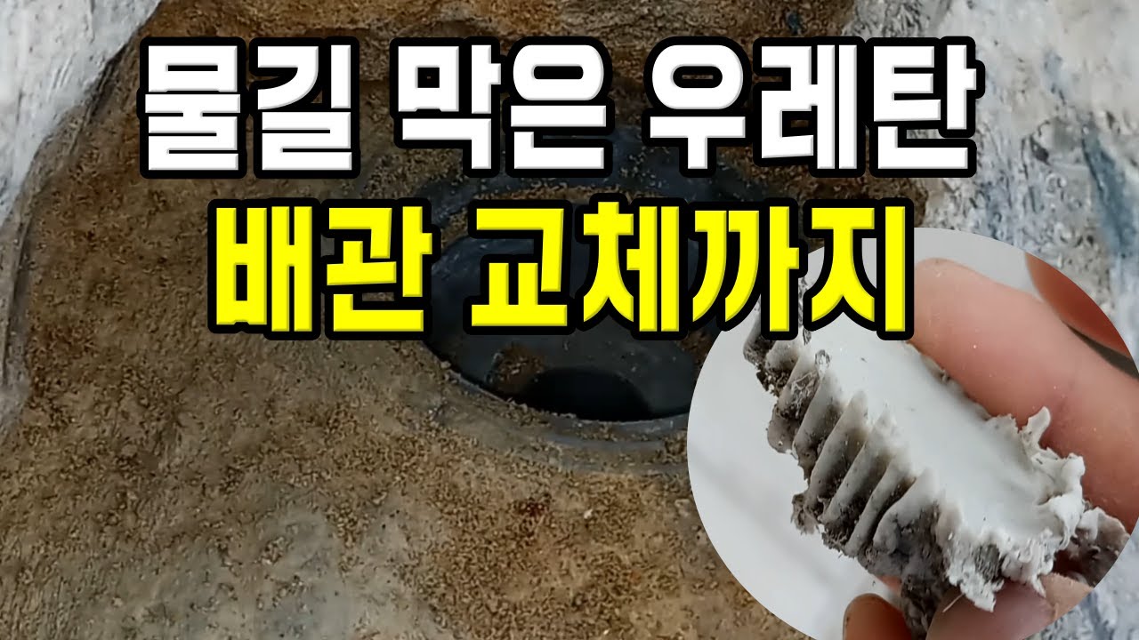 아랫집 물샘 원인, 배관 안에 있던 우레탄 방수 뭉치?! 결국 새 배관으로 교체｜누수탐지 현장 Ep 26｜창원 고려누수탐지