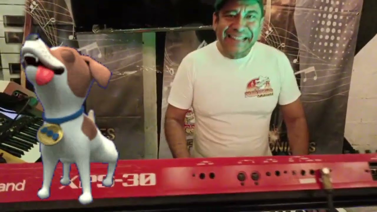 A perro traes pulga y sarna