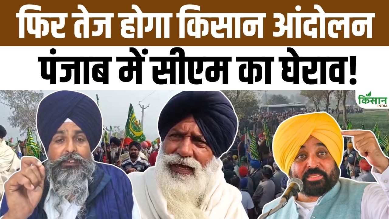 Punjab में CM Bhagwant Mann का घेराव! बड़े आंदोलन की तैयारी में किसान! | Punjab Farmer Protest