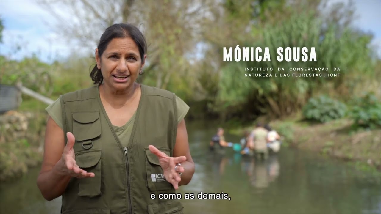 rã-de-unhas-africana