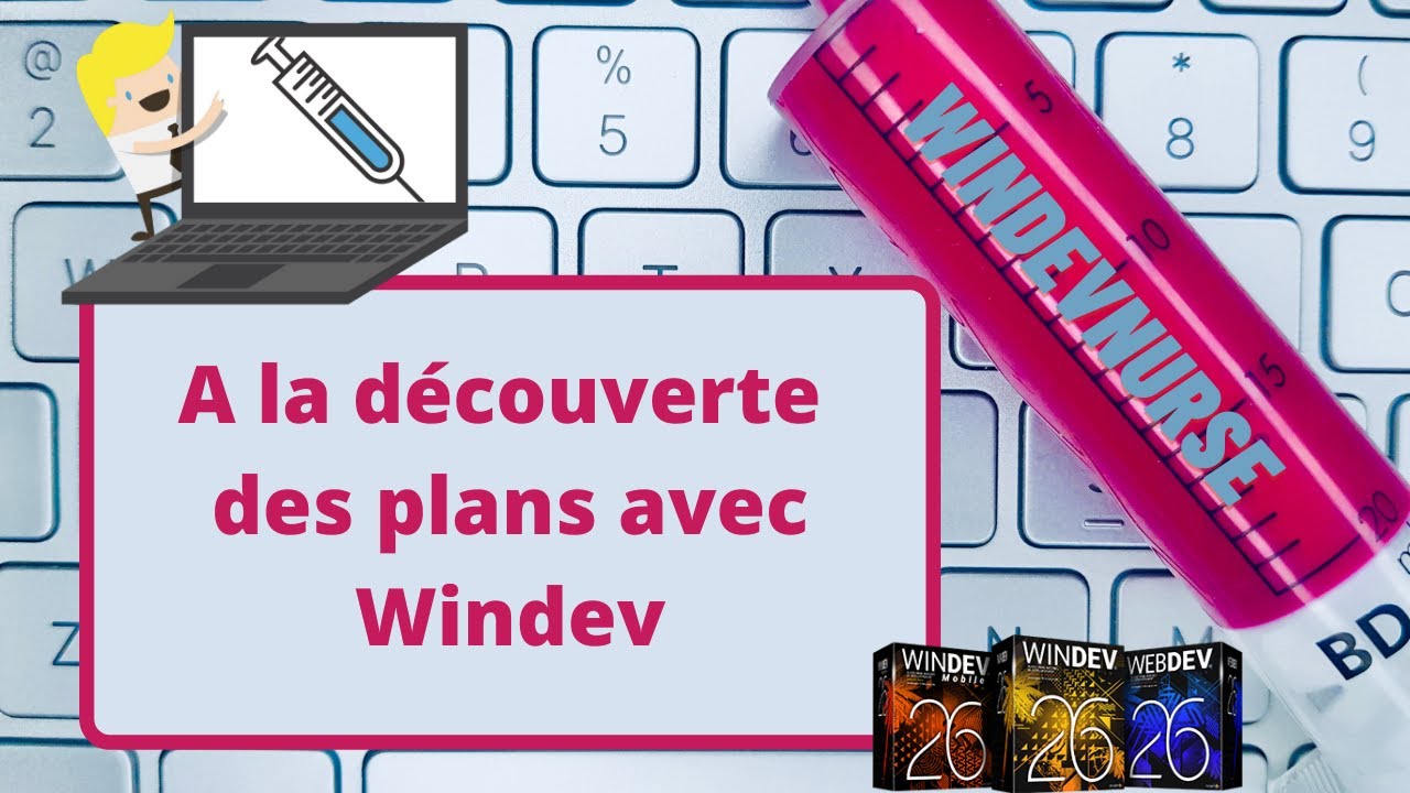090. Les plans dans une fenêtre Windev.