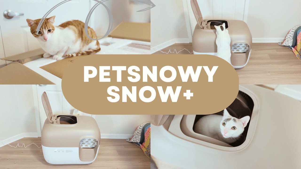 PetSnowy Snow+ - Automatic Litter Box Unboxing & Review!