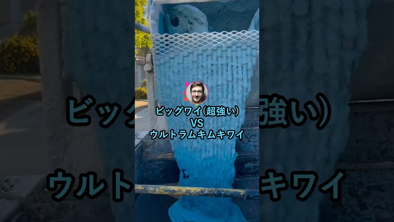 ビッグワイ(超強い)VSウルトラムキムキワイwww【2ch面白いスレ】