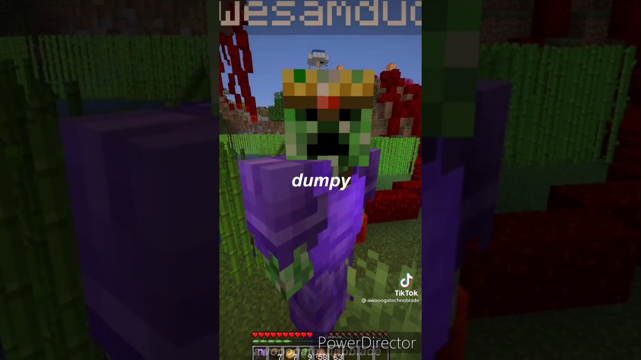 MCYT tiktoks