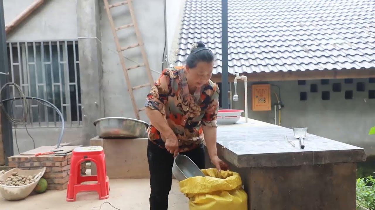 幺妈和思宇给芋头施肥，小拾和幺叔在家做饭。#幺妈和幺叔 #奎瓜