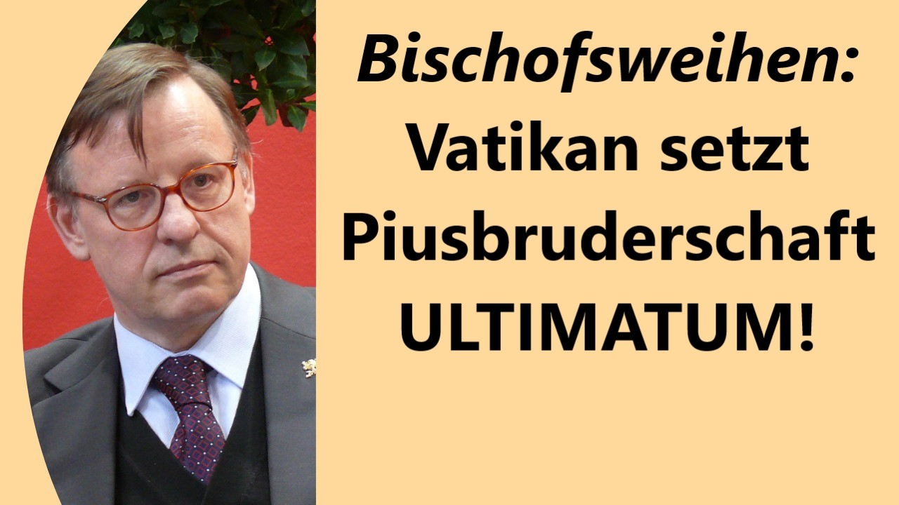Papst Leo XIV. massiv unter Druck - Stoppschild für Synodalen Weg