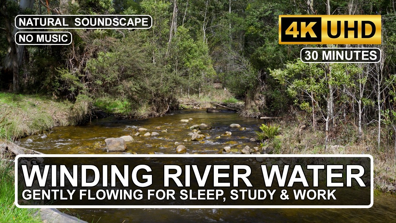 30 Minutes Gently Bending River | Soft Water ASMR Background Sounds for Rest, Recovery & Relaxation