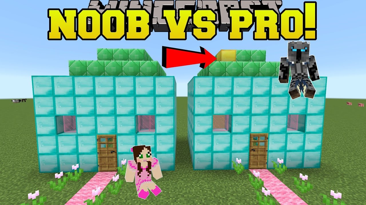 Minecraft: НУБ ПРОТИВ ПРОФИ!!! — НАЙДИ ОТЛИЧИЕ!! — Мини-игра