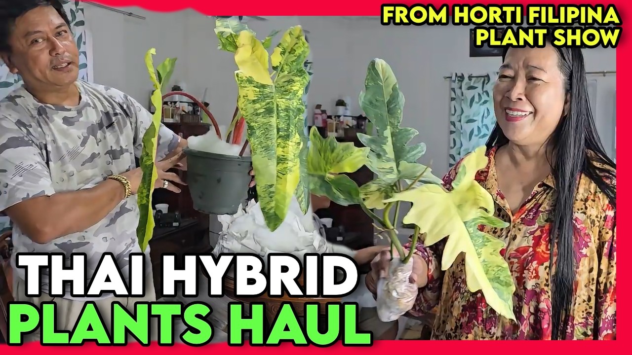 Thai Hybrid Plants Haul from the Horti Filipina Plant Show and Sale