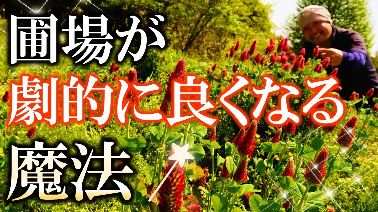 【絶対使うべき】圃場が劇的に良くなる「緑肥活用法」