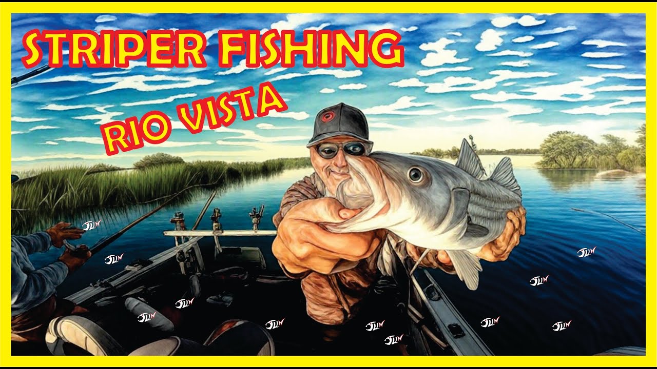 Рыбалка на полосатого окуня в дельте реки Виста, Калифорния | Fall Run Striper