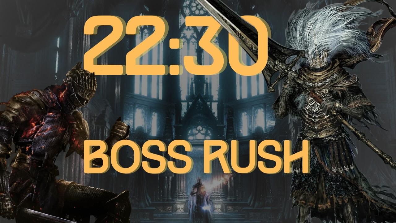 Dark Souls 3 Speedrun - Boss Rush Mod Glitchless - 22:30